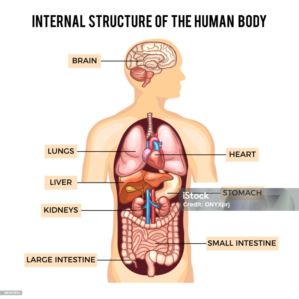 The Chicago Museum of Science and Industry